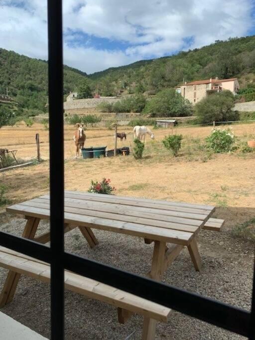 Holiday home Casa Del Sola